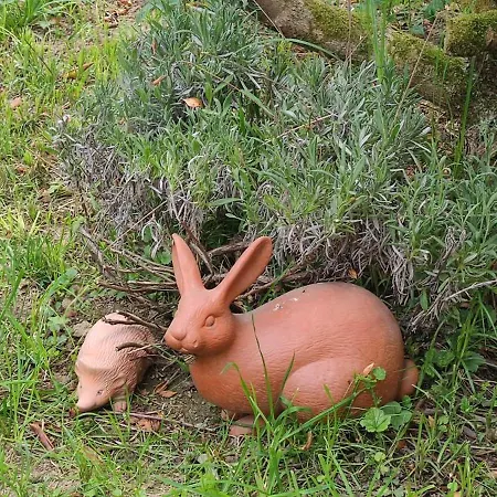 Sonnenhaus Leo Tatil Evi